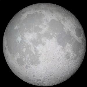 Meet your Posher, Cass